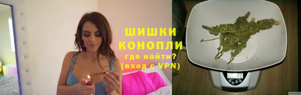 мдпв Болохово