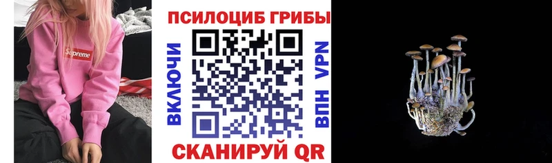 Псилоцибиновые грибы Psilocybine cubensis  Спасск-Рязанский 